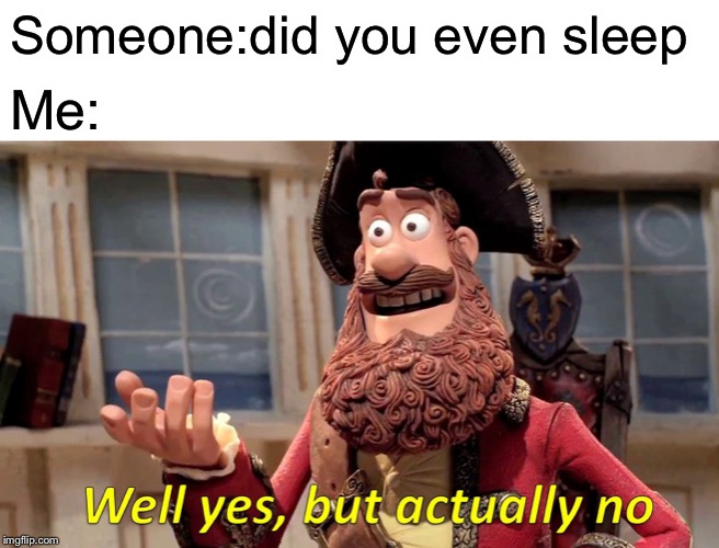 Well Yes, But Actually No | Someone:did you even sleep; Me: | image tagged in memes,well yes but actually no | made w/ Imgflip meme maker