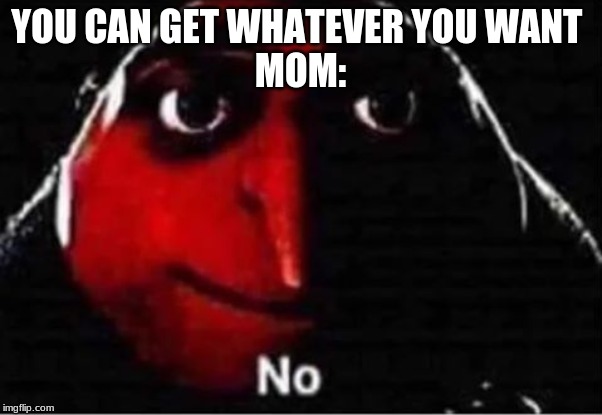 Gru No | YOU CAN GET WHATEVER YOU WANT 
MOM: | image tagged in gru no | made w/ Imgflip meme maker