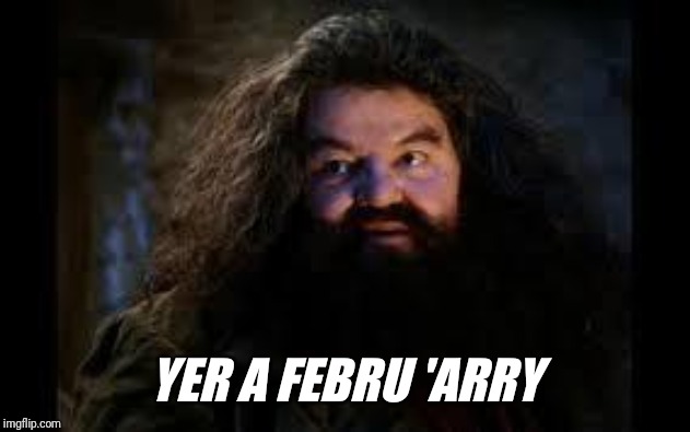 Don't ask me what a Febru is though... | YER A FEBRU 'ARRY | image tagged in hagrid yer a wizard,february | made w/ Imgflip meme maker
