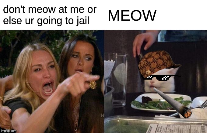 Woman Yelling At Cat Meme | don't meow at me or else ur going to jail; MEOW | image tagged in memes,woman yelling at cat | made w/ Imgflip meme maker