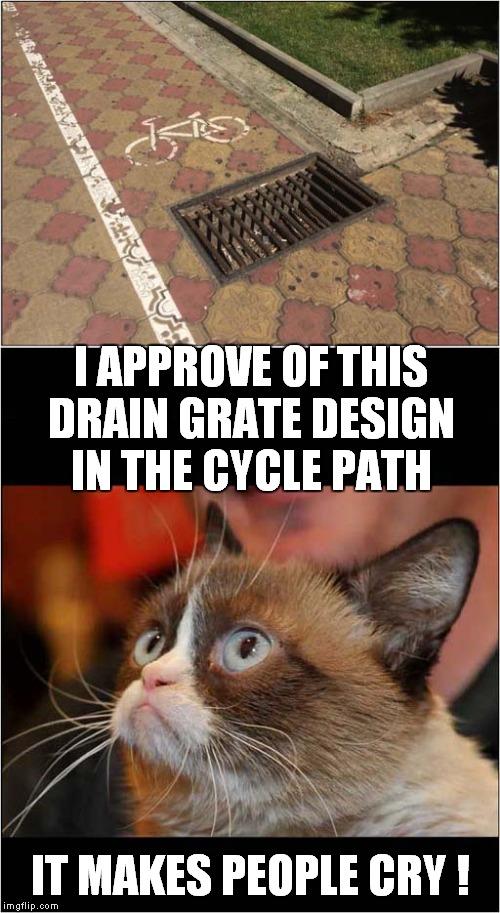 Grumpys Hope For Cyclists | I APPROVE OF THIS DRAIN GRATE DESIGN IN THE CYCLE PATH; IT MAKES PEOPLE CRY ! | image tagged in fun,grumpy cat,cycling | made w/ Imgflip meme maker
