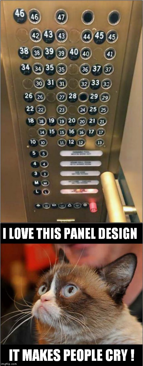 Grumpys Hopeless Lift / Elevator Panel | I LOVE THIS PANEL DESIGN; IT MAKES PEOPLE CRY ! | image tagged in fun,grumpy cat,lift,elevator | made w/ Imgflip meme maker