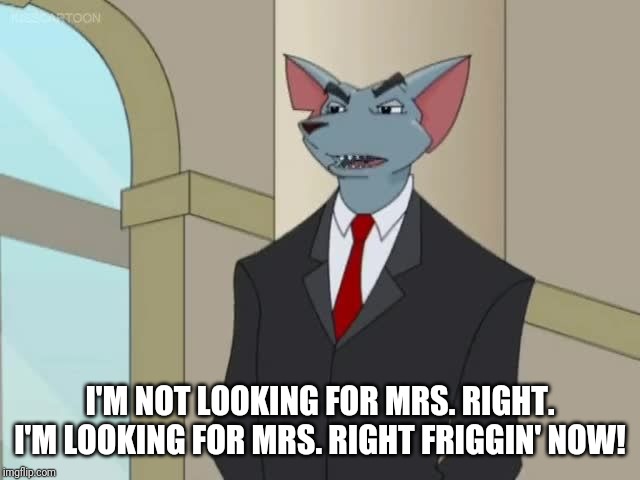 I'M NOT LOOKING FOR MRS. RIGHT. I'M LOOKING FOR MRS. RIGHT FRIGGIN' NOW! | image tagged in gary the rat | made w/ Imgflip meme maker