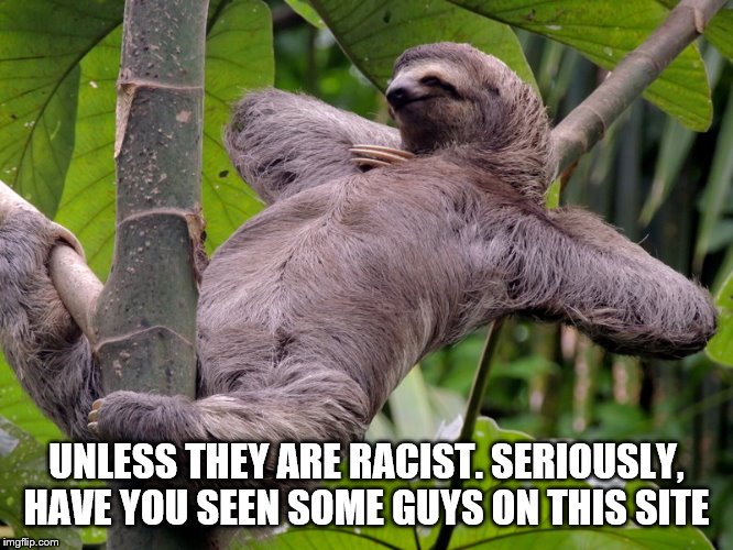 Lazy Sloth | UNLESS THEY ARE RACIST. SERIOUSLY, HAVE YOU SEEN SOME GUYS ON THIS SITE | image tagged in lazy sloth | made w/ Imgflip meme maker