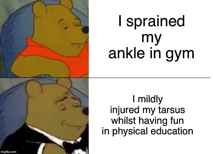 Fancy Winnie The Pooh Meme | I sprained my ankle in gym; I mildly injured my tarsus whilst having fun in physical education | image tagged in fancy winnie the pooh meme | made w/ Imgflip meme maker