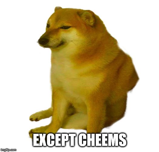 Cheems | EXCEPT CHEEMS | image tagged in cheems | made w/ Imgflip meme maker