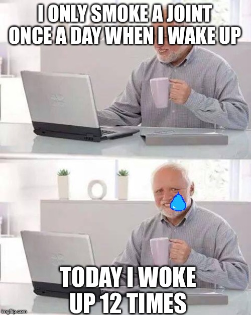 Hide the Pain Harold Meme | I ONLY SMOKE A JOINT ONCE A DAY WHEN I WAKE UP; TODAY I WOKE UP 12 TIMES | image tagged in memes,hide the pain harold | made w/ Imgflip meme maker