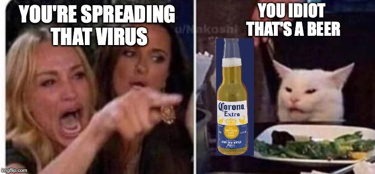 Cat at table |  YOU IDIOT 
THAT'S A BEER; YOU'RE SPREADING 
THAT VIRUS | image tagged in cat at table | made w/ Imgflip meme maker