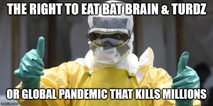 virus infection | THE RIGHT TO EAT BAT BRAIN & TURDZ; OR GLOBAL PANDEMIC THAT KILLS MILLIONS | image tagged in virus infection | made w/ Imgflip meme maker