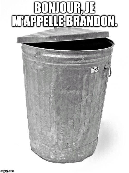 Trash Can | BONJOUR, JE M'APPELLE BRANDON. | image tagged in trash can | made w/ Imgflip meme maker