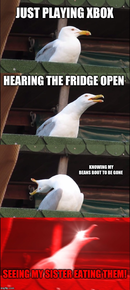 Inhaling Seagull Meme | JUST PLAYING XBOX; HEARING THE FRIDGE OPEN; KNOWING MY BEANS BOUT TO BE GONE; SEEING MY SISTER EATING THEM! | image tagged in memes,inhaling seagull | made w/ Imgflip meme maker