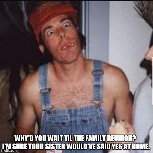 Hick | WHY'D YOU WAIT TIL THE FAMILY REUNION?  I'M SURE YOUR SISTER WOULD'VE SAID YES AT HOME. | image tagged in hick | made w/ Imgflip meme maker