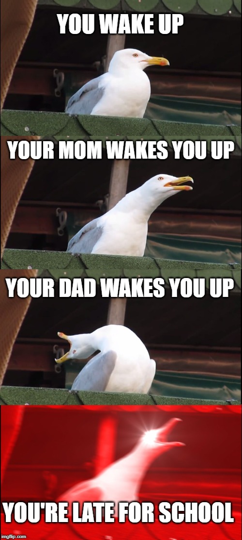 Inhaling Seagull Meme | YOU WAKE UP; YOUR MOM WAKES YOU UP; YOUR DAD WAKES YOU UP; YOU'RE LATE FOR SCHOOL | image tagged in memes,inhaling seagull | made w/ Imgflip meme maker