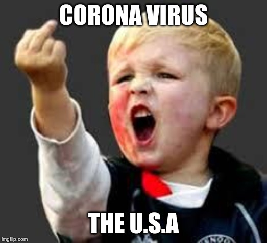 Baby Pointing Middle Finger | CORONA VIRUS; THE U.S.A | image tagged in baby pointing middle finger | made w/ Imgflip meme maker
