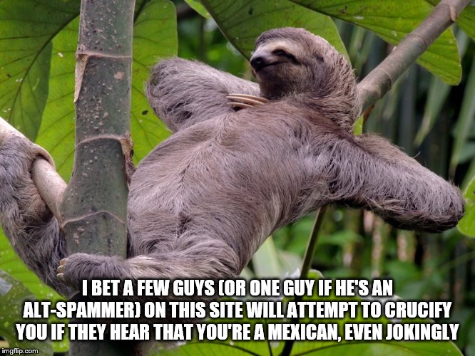 Lazy Sloth | I BET A FEW GUYS (OR ONE GUY IF HE'S AN ALT-SPAMMER) ON THIS SITE WILL ATTEMPT TO CRUCIFY YOU IF THEY HEAR THAT YOU'RE A MEXICAN, EVEN JOKIN | image tagged in lazy sloth | made w/ Imgflip meme maker