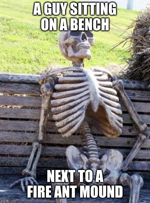 Waiting Skeleton Meme | A GUY SITTING ON A BENCH; NEXT TO A FIRE ANT MOUND | image tagged in memes,waiting skeleton | made w/ Imgflip meme maker