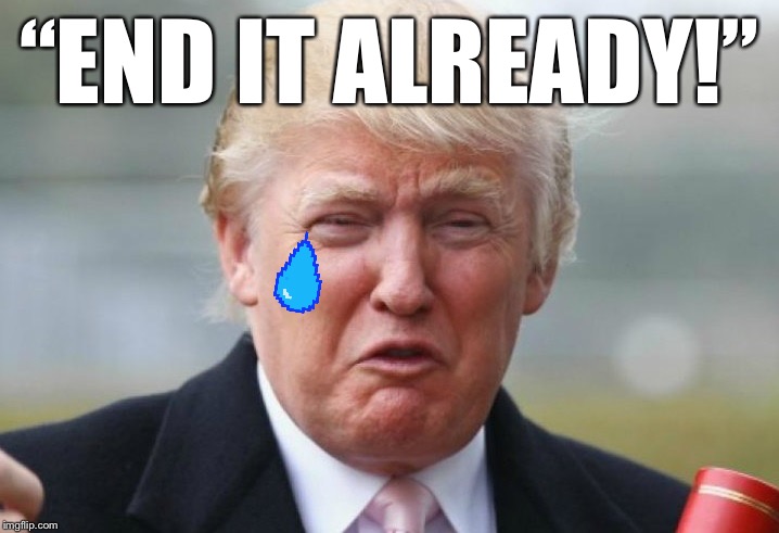 “End the impeachment already!” | “END IT ALREADY!” | image tagged in trump crybaby,impeachment,trump impeachment,impeach trump,trial,gop | made w/ Imgflip meme maker