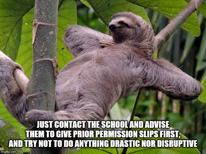 Lazy Sloth | JUST CONTACT THE SCHOOL AND ADVISE THEM TO GIVE PRIOR PERMISSION SLIPS FIRST, AND TRY NOT TO DO ANYTHING DRASTIC NOR DISRUPTIVE | image tagged in lazy sloth | made w/ Imgflip meme maker