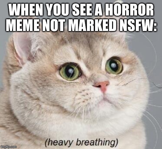 Heavy Breathing Cat | WHEN YOU SEE A HORROR MEME NOT MARKED NSFW: | image tagged in memes,heavy breathing cat | made w/ Imgflip meme maker