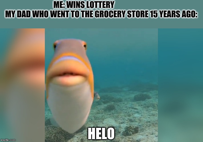 Grocery store | ME: WINS LOTTERY                        MY DAD WHO WENT TO THE GROCERY STORE 15 YEARS AGO:; HELO | image tagged in fish | made w/ Imgflip meme maker