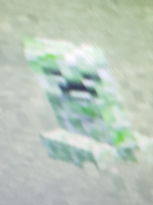 creeper Blank Meme Template