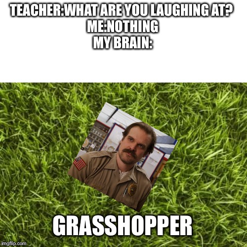 TEACHER:WHAT ARE YOU LAUGHING AT? 
ME:NOTHING
MY BRAIN:; GRASSHOPPER | made w/ Imgflip meme maker