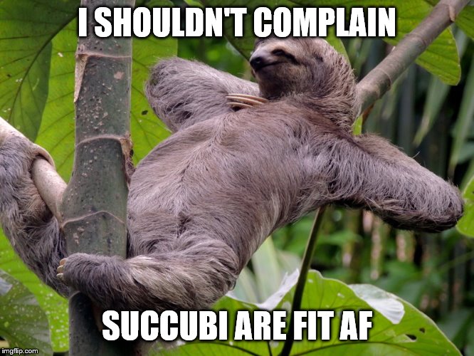 Lazy Sloth | I SHOULDN'T COMPLAIN SUCCUBI ARE FIT AF | image tagged in lazy sloth | made w/ Imgflip meme maker