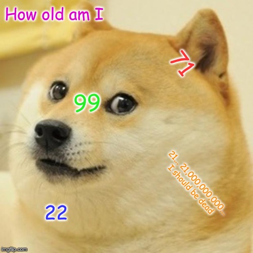 Doge Meme - Imgflip