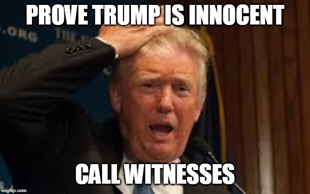 prove trump is innocent | PROVE TRUMP IS INNOCENT; CALL WITNESSES | image tagged in trump,guilty,impeach,trial,witnesses,prove | made w/ Imgflip meme maker