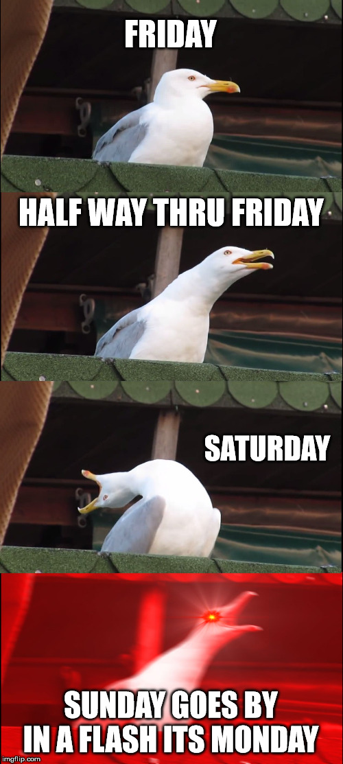 Inhaling Seagull | FRIDAY; HALF WAY THRU FRIDAY; SATURDAY; SUNDAY GOES BY IN A FLASH ITS MONDAY | image tagged in memes,inhaling seagull | made w/ Imgflip meme maker