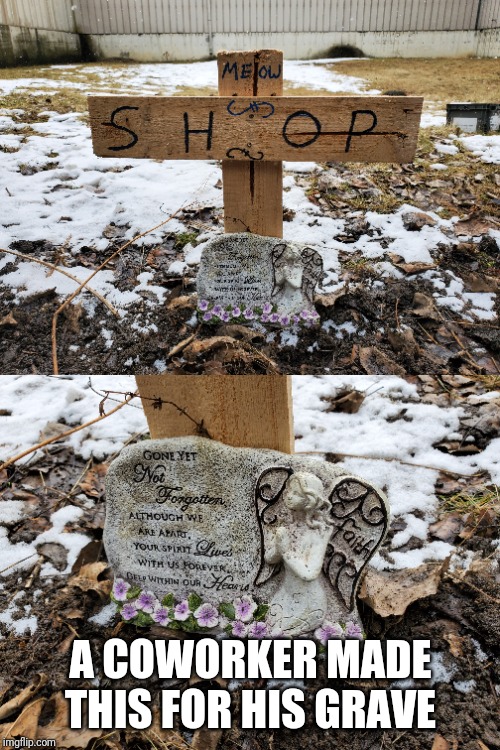 Goes with my tribute to my workplace mascot | A COWORKER MADE THIS FOR HIS GRAVE | image tagged in memes,cats | made w/ Imgflip meme maker