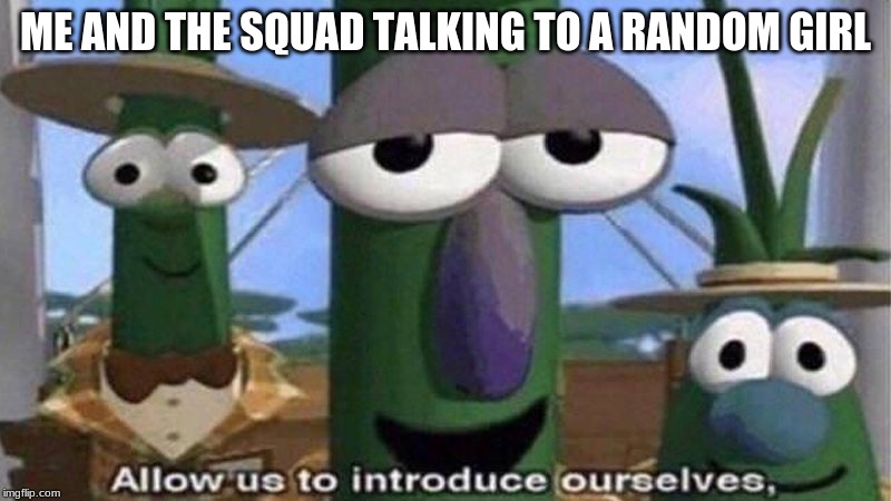 VeggieTales 'Allow us to introduce ourselfs' | ME AND THE SQUAD TALKING TO A RANDOM GIRL | image tagged in veggietales 'allow us to introduce ourselfs' | made w/ Imgflip meme maker