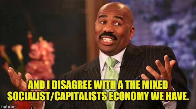 Steve Harvey Meme | AND I DISAGREE WITH A THE MIXED SOCIALIST/CAPITALISTS ECONOMY WE HAVE. | image tagged in memes,steve harvey | made w/ Imgflip meme maker