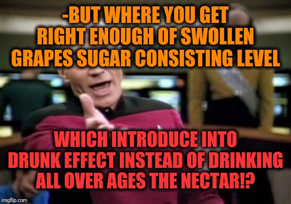 Picard Wtf Meme | -BUT WHERE YOU GET RIGHT ENOUGH OF SWOLLEN GRAPES SUGAR CONSISTING LEVEL WHICH INTRODUCE INTO DRUNK EFFECT INSTEAD OF DRINKING ALL OVER AGES | image tagged in memes,picard wtf | made w/ Imgflip meme maker