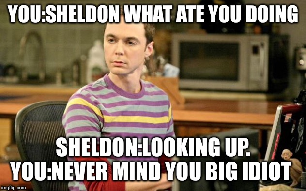 Sheldon Big Bang Theory  | YOU:SHELDON WHAT ATE YOU DOING; SHELDON:LOOKING UP. YOU:NEVER MIND YOU BIG IDIOT | image tagged in sheldon big bang theory | made w/ Imgflip meme maker