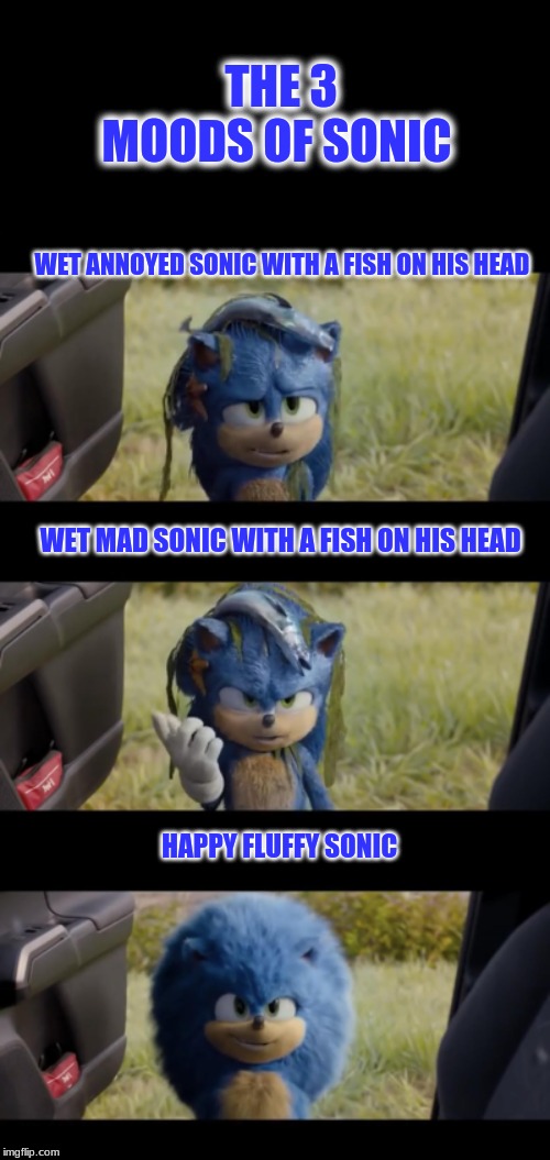 the 3 moods of sonic | THE 3 MOODS OF SONIC; WET ANNOYED SONIC WITH A FISH ON HIS HEAD; WET MAD SONIC WITH A FISH ON HIS HEAD; HAPPY FLUFFY SONIC | image tagged in funny memes | made w/ Imgflip meme maker