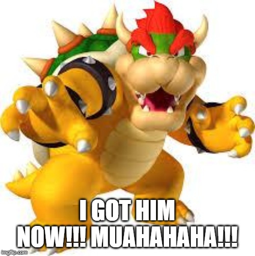 Bowser | I GOT HIM NOW!!! MUAHAHAHA!!! | image tagged in bowser | made w/ Imgflip meme maker