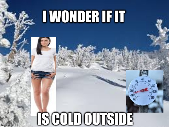 I WONDER IF IT; IS COLD OUTSIDE | image tagged in freezing cold | made w/ Imgflip meme maker