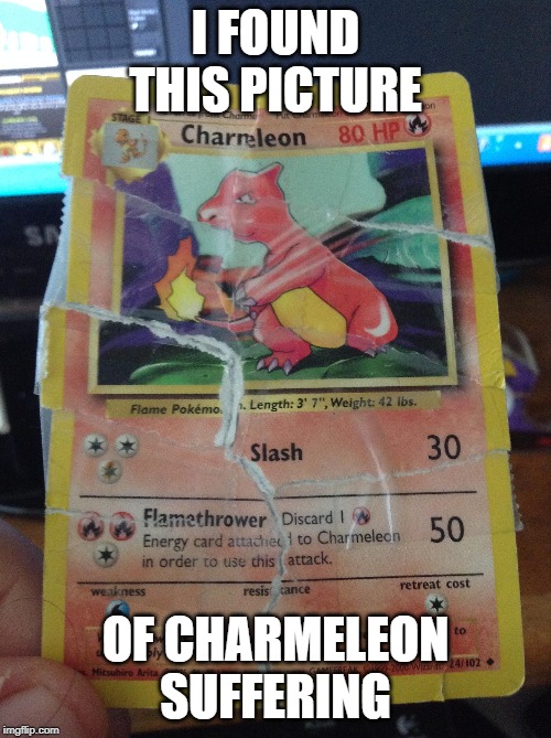 watch my friend die. | I FOUND THIS PICTURE; OF CHARMELEON SUFFERING | image tagged in pokemon | made w/ Imgflip meme maker