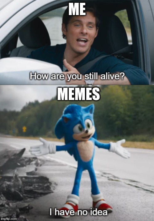 Sonic : How are you still alive | ME; MEMES | image tagged in sonic  how are you still alive | made w/ Imgflip meme maker