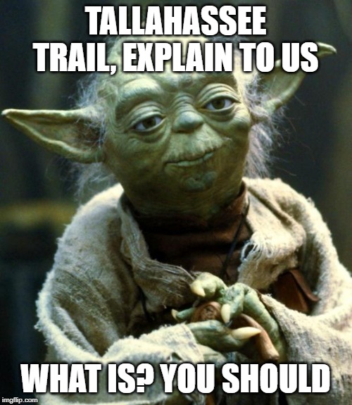 Star Wars Yoda Meme | TALLAHASSEE TRAIL, EXPLAIN TO US WHAT IS? YOU SHOULD | image tagged in memes,star wars yoda | made w/ Imgflip meme maker