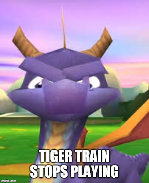 Spyro Death Stare | TIGER TRAIN STOPS PLAYING | image tagged in spyro death stare | made w/ Imgflip meme maker