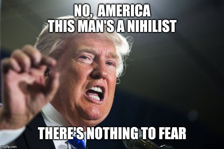 donald trump | NO,  AMERICA
THIS MAN'S A NIHILIST; THERE'S NOTHING TO FEAR | image tagged in donald trump | made w/ Imgflip meme maker