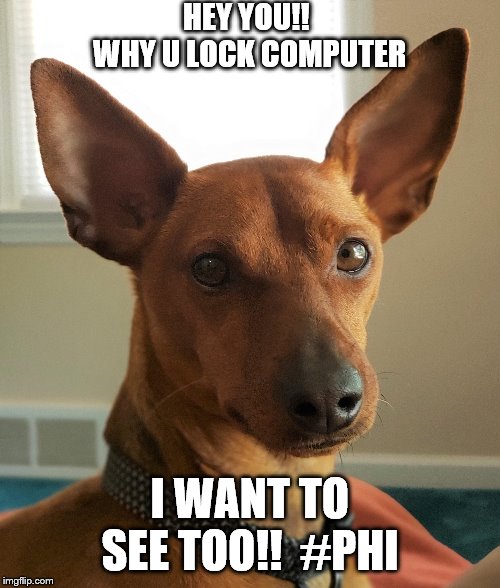 HEY YOU!!  WHY U LOCK COMPUTER; I WANT TO SEE TOO!!  #PHI | made w/ Imgflip meme maker