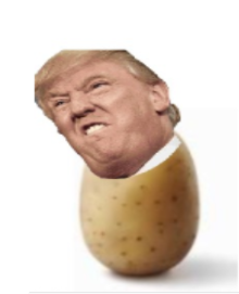 High Quality Potato trump Blank Meme Template
