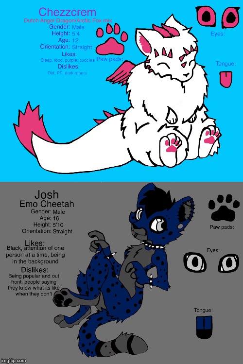 I know I’ve shown both of them, but who do you like more? Chezzcrem or Josh? | image tagged in furries,hmm | made w/ Imgflip meme maker
