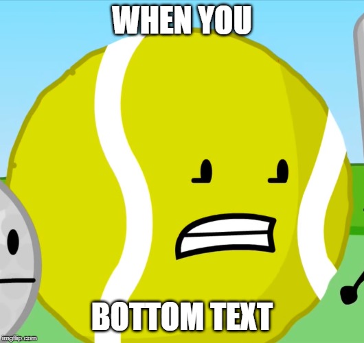 tennis ball | WHEN YOU; BOTTOM TEXT | image tagged in battle for dream island,bfdi,bfb,tennis ball,when you,bottom text | made w/ Imgflip meme maker
