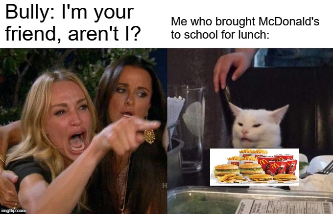 Woman Yelling At Cat | Me who brought McDonald's to school for lunch:; Bully: I'm your friend, aren't I? | image tagged in memes,woman yelling at cat | made w/ Imgflip meme maker