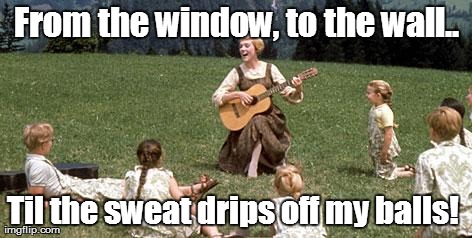 From the window, to the wall.. Til the sweat drips off my balls! | made w/ Imgflip meme maker