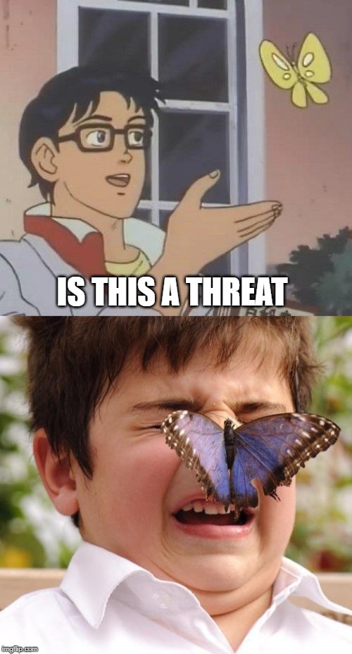 IS THIS A THREAT | image tagged in memes,is this a pigeon,scary butterfly | made w/ Imgflip meme maker